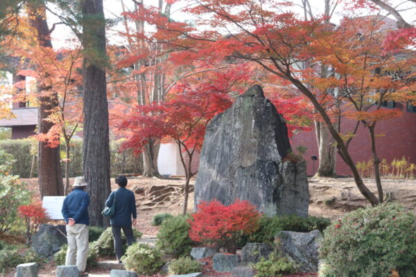 カエデの森（埼玉県立自然の博物館）