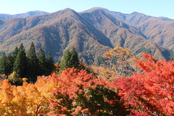 三峰山紅葉