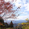 城峯山周辺紅葉