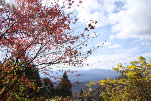 城峯山周辺紅葉