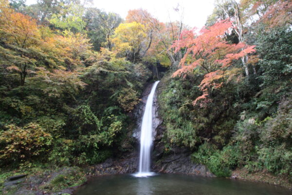 秩父華厳の滝紅葉