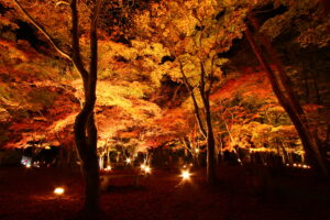 月の石もみじ公園紅葉ライトアップ