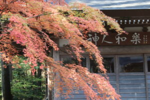 紅葉「寳登山神社」