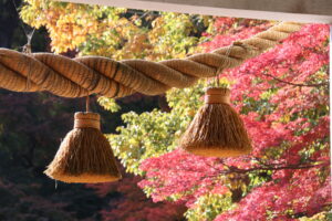 紅葉「寳登山神社」